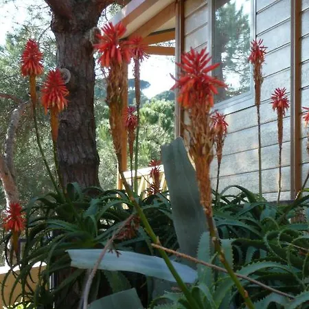 Roca Grossa Κάμπινγκ