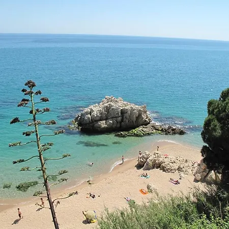 Roca Grossa Κάμπινγκ 2*