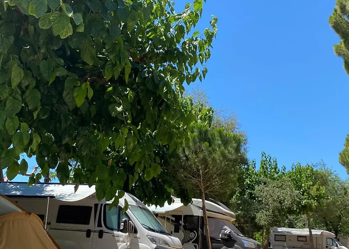 Roca Grossa 2* Calella