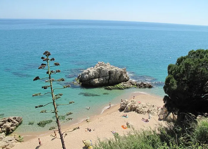 Roca Grossa Camping 2*